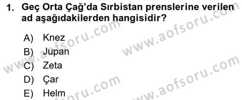 Balkanlarda Siyaset Dersi 2021 - 2022 Yılı (Vize) Ara Sınavı 1. Soru