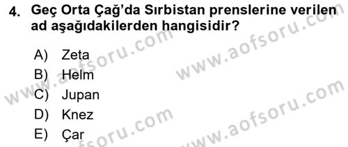 Balkanlarda Siyaset Dersi 2022 - 2023 Yılı Yaz Okulu Sınav Soruları 4. Soru