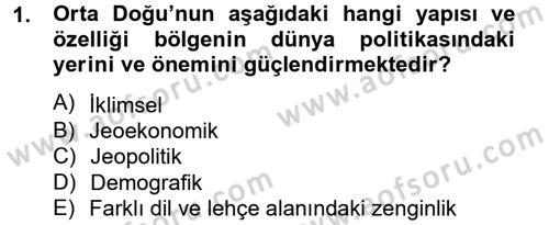 Orta Doğuda Siyaset Dersi 2012 - 2013 Yılı (Final) Dönem Sonu Sınav Soruları 1. Soru