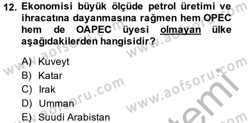 Orta Doğuda Siyaset Dersi 2013 - 2014 Yılı (Final) Dönem Sonu Sınav Soruları 12. Soru