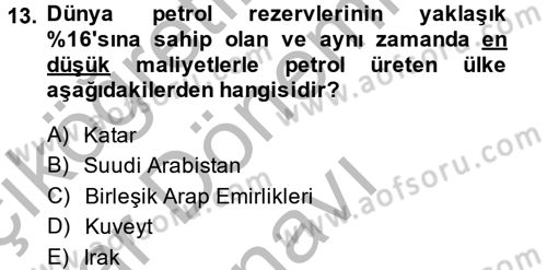 Orta Doğuda Siyaset Dersi 2013 - 2014 Yılı (Final) Dönem Sonu Sınav Soruları 13. Soru