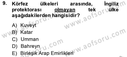 Orta Doğuda Siyaset Dersi 2014 - 2015 Yılı (Vize) Ara Sınav Soruları 9. Soru
