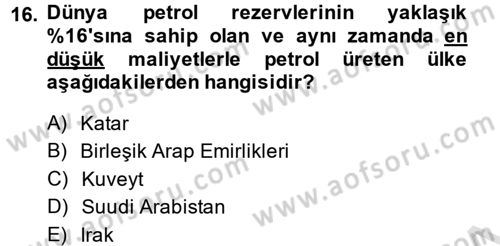 Orta Doğuda Siyaset Dersi 2014 - 2015 Yılı Tek Ders Sınav Soruları 16. Soru