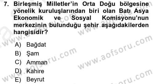 Orta Doğuda Siyaset Dersi 2015 - 2016 Yılı (Vize) Ara Sınav Soruları 7. Soru
