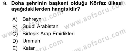 Orta Doğuda Siyaset Dersi 2015 - 2016 Yılı (Vize) Ara Sınav Soruları 9. Soru