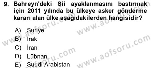 Orta Doğuda Siyaset Dersi 2015 - 2016 Yılı (Final) Dönem Sonu Sınav Soruları 9. Soru