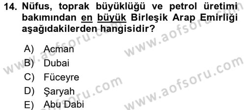 Orta Doğuda Siyaset Dersi 2016 - 2017 Yılı 3 Ders Sınav Soruları 14. Soru