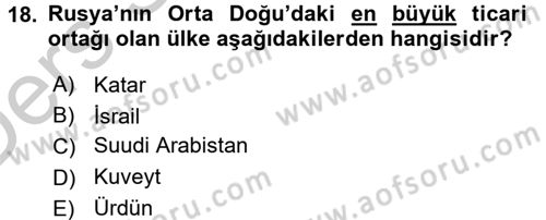 Orta Doğuda Siyaset Dersi 2016 - 2017 Yılı 3 Ders Sınav Soruları 18. Soru
