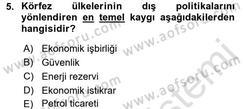 Orta Doğuda Siyaset Dersi 2016 - 2017 Yılı (Final) Dönem Sonu Sınav Soruları 5. Soru