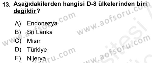 Orta Doğuda Siyaset Dersi 2017 - 2018 Yılı 3 Ders Sınav Soruları 13. Soru