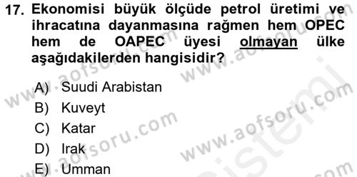 Orta Doğuda Siyaset Dersi 2017 - 2018 Yılı 3 Ders Sınav Soruları 17. Soru