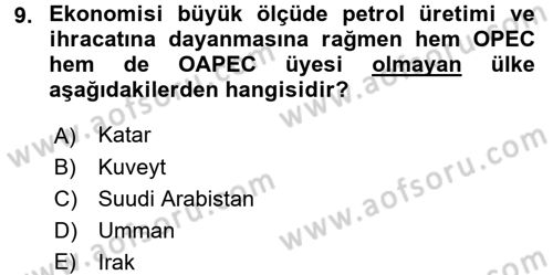 Orta Doğuda Siyaset Dersi 2017 - 2018 Yılı (Final) Dönem Sonu Sınav Soruları 9. Soru