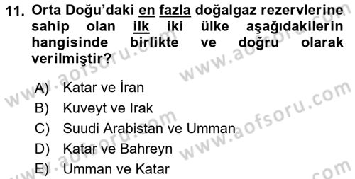 Orta Doğuda Siyaset Dersi 2018 - 2019 Yılı 3 Ders Sınav Soruları 11. Soru