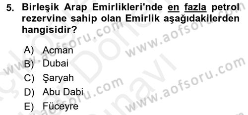 Orta Doğuda Siyaset Dersi 2018 - 2019 Yılı (Final) Dönem Sonu Sınav Soruları 5. Soru
