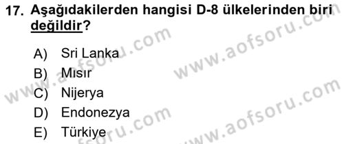 Orta Doğuda Siyaset Dersi 2018 - 2019 Yılı Yaz Okulu Sınav Soruları 17. Soru