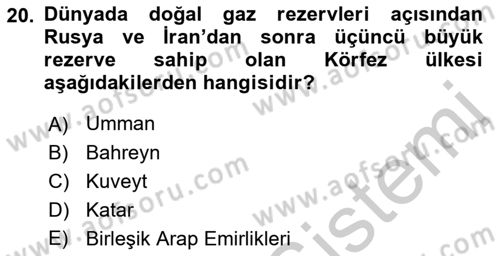 Orta Doğuda Siyaset Dersi 2018 - 2019 Yılı Yaz Okulu Sınav Soruları 20. Soru