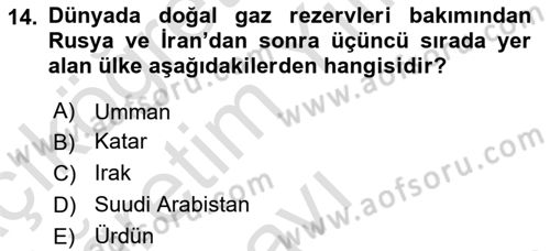 Orta Doğuda Siyaset Dersi 2020 - 2021 Yılı Yaz Okulu Sınav Soruları 14. Soru
