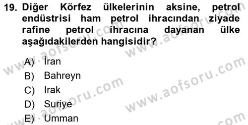 Orta Doğuda Siyaset Dersi 2020 - 2021 Yılı Yaz Okulu Sınav Soruları 19. Soru