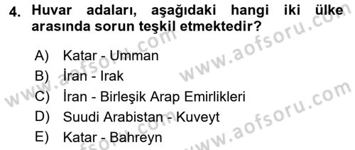 Orta Doğuda Siyaset Dersi 2020 - 2021 Yılı Yaz Okulu Sınav Soruları 4. Soru