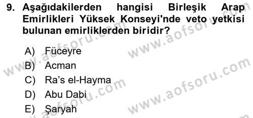 Orta Doğuda Siyaset Dersi 2020 - 2021 Yılı Yaz Okulu Sınav Soruları 9. Soru
