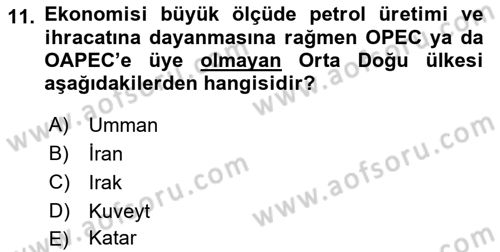 Orta Doğuda Siyaset Dersi 2021 - 2022 Yılı (Final) Dönem Sonu Sınav Soruları 11. Soru