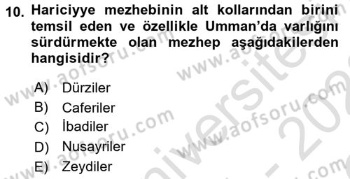 Orta Doğuda Siyaset Dersi 2021 - 2022 Yılı Yaz Okulu Sınav Soruları 10. Soru