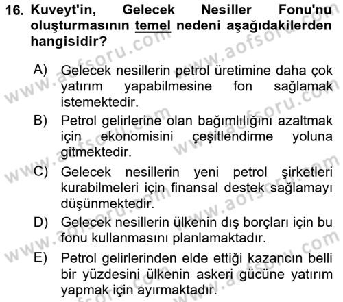 Orta Doğuda Siyaset Dersi 2021 - 2022 Yılı Yaz Okulu Sınav Soruları 16. Soru