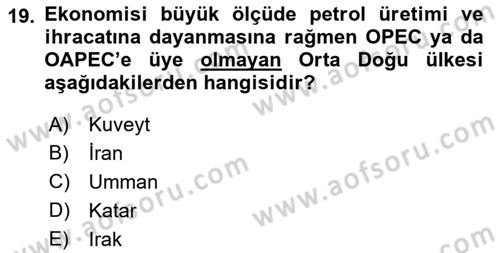 Orta Doğuda Siyaset Dersi 2021 - 2022 Yılı Yaz Okulu Sınav Soruları 19. Soru