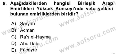 Orta Doğuda Siyaset Dersi 2021 - 2022 Yılı Yaz Okulu Sınav Soruları 8. Soru
