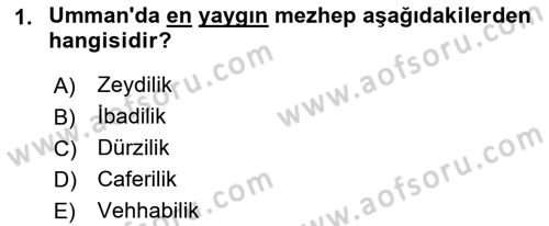 Orta Doğuda Siyaset Dersi 2022 - 2023 Yılı Yaz Okulu Sınav Soruları 1. Soru