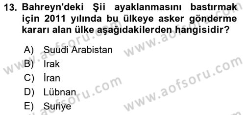 Orta Doğuda Siyaset Dersi 2022 - 2023 Yılı Yaz Okulu Sınav Soruları 13. Soru