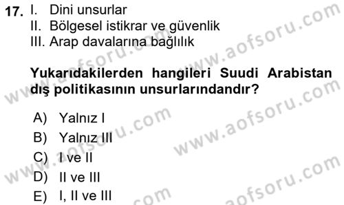 Orta Doğuda Siyaset Dersi 2022 - 2023 Yılı Yaz Okulu Sınav Soruları 17. Soru
