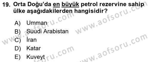 Orta Doğuda Siyaset Dersi 2022 - 2023 Yılı Yaz Okulu Sınav Soruları 19. Soru