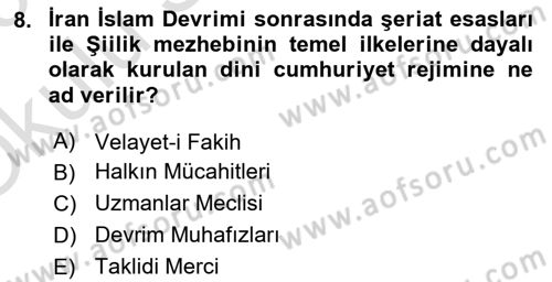 Orta Doğuda Siyaset Dersi 2022 - 2023 Yılı Yaz Okulu Sınav Soruları 8. Soru