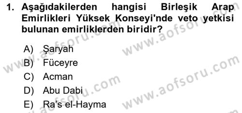 Orta Doğuda Siyaset Dersi 2024 - 2025 Yılı (Vize) Ara Sınav Soruları 1. Soru
