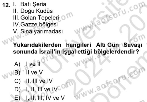 Orta Doğuda Siyaset Dersi 2024 - 2025 Yılı (Final) Dönem Sonu Sınav Soruları 12. Soru