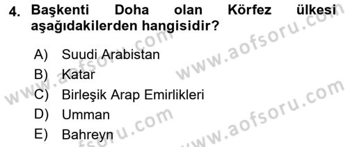 Orta Doğuda Siyaset Dersi 2024 - 2025 Yılı (Final) Dönem Sonu Sınav Soruları 4. Soru