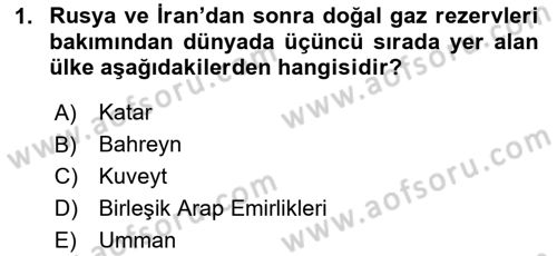 Orta Doğuda Siyaset Dersi 2024 - 2025 Yılı Yaz Okulu Sınav Soruları 1. Soru