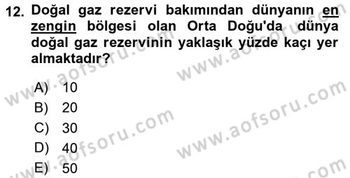 Orta Doğuda Siyaset Dersi 2024 - 2025 Yılı Yaz Okulu Sınav Soruları 12. Soru