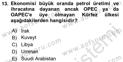 Orta Doğuda Siyaset Dersi 2024 - 2025 Yılı Yaz Okulu Sınav Soruları 13. Soru