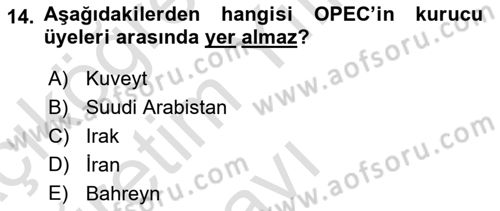 Orta Doğuda Siyaset Dersi 2024 - 2025 Yılı Yaz Okulu Sınav Soruları 14. Soru