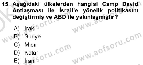 Orta Doğuda Siyaset Dersi 2024 - 2025 Yılı Yaz Okulu Sınav Soruları 15. Soru