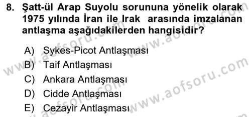 Orta Doğuda Siyaset Dersi 2024 - 2025 Yılı Yaz Okulu Sınav Soruları 8. Soru