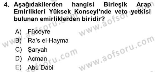 Orta Doğuda Siyaset Dersi 2025 - 2026 Yılı (Final) Dönem Sonu Sınav Soruları 4. Soru