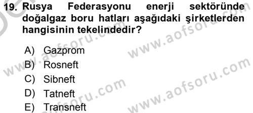 Orta Asya ve Kafkaslarda Siyaset Dersi 2016 - 2017 Yılı 3 Ders Sınav Soruları 19. Soru