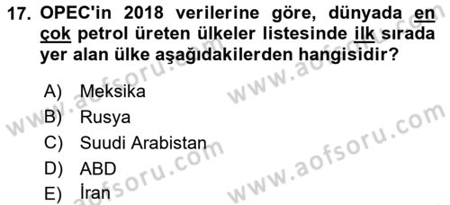 Orta Asya ve Kafkaslarda Siyaset Dersi 2022 - 2023 Yılı Yaz Okulu Sınav Soruları 17. Soru