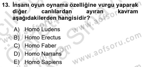 Dijital Çağda Reklam Dersi 2024 - 2025 Yılı (Vize) Ara Sınav Soruları 13. Soru
