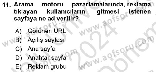 Dijital Çağda Reklam Dersi 2024 - 2025 Yılı (Final) Dönem Sonu Sınav Soruları 11. Soru