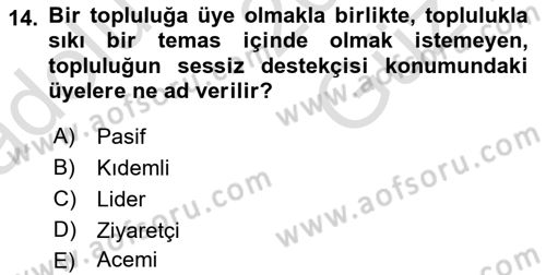 Dijital Medya ve Tüketici Dersi 2025 - 2026 Yılı (Vize) Ara Sınav Soruları 14. Soru