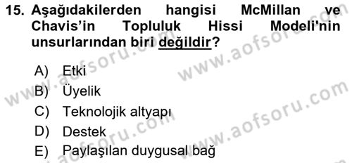 Dijital Medya ve Tüketici Dersi 2025 - 2026 Yılı (Vize) Ara Sınav Soruları 15. Soru